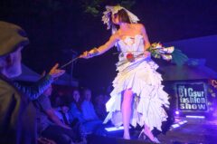 Photos by Michael Troutman (269/365)